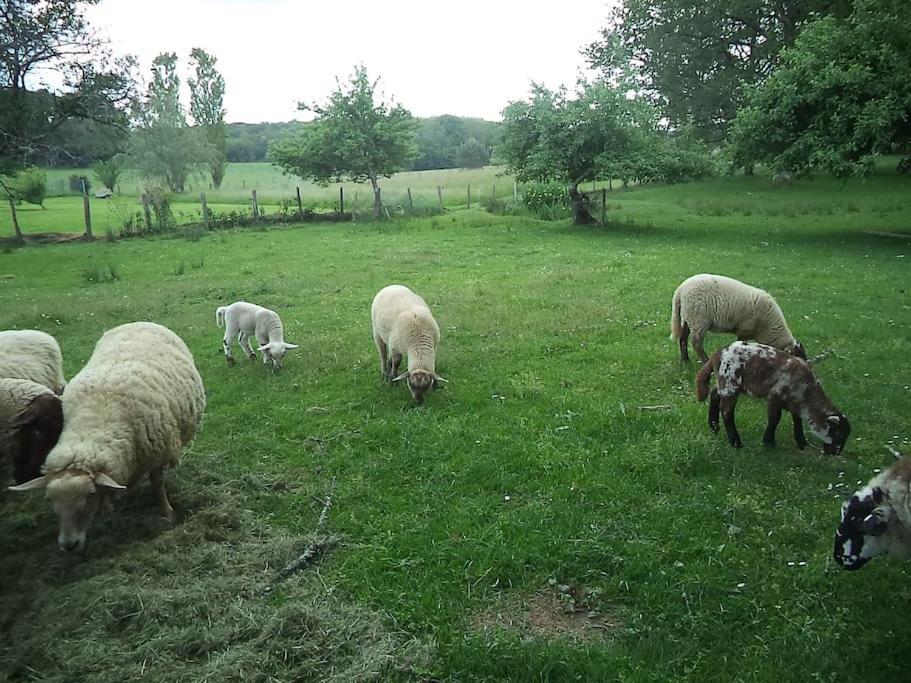 Espace Famille Montmillon Chamblay